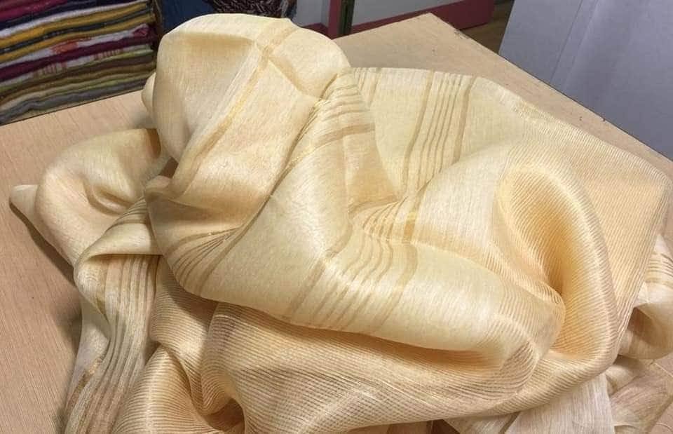 Off-white silk linen saree with golden zari border draped elegantly