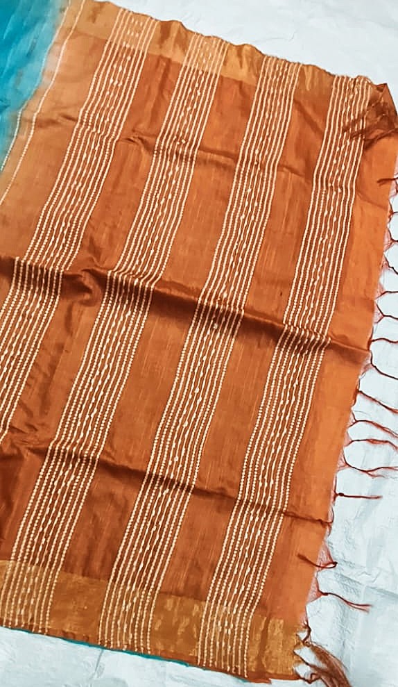 Orange contrast pallu with Organza Viscose saree - Roomz Fashion